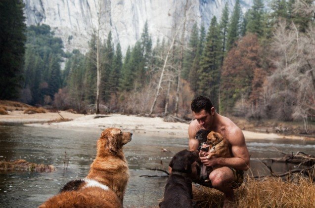 man travels the country in rv with his 6 rescue dogs