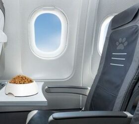 air transport trade association to certify airlines carrying pets