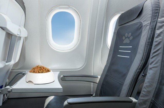 air transport trade association to certify airlines carrying pets