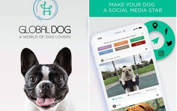 The Global Dog Wants To Make Your Dog a Star