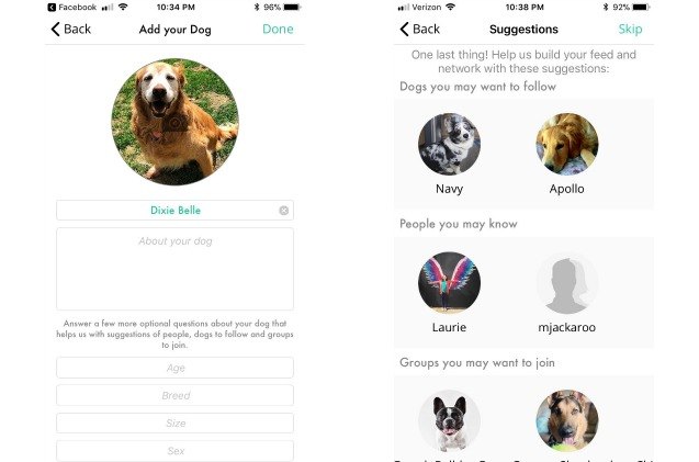 the global dog wants to make your dog a star