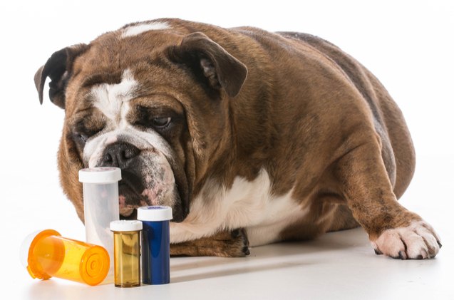 what should you do with unused pet pharmaceuticals and care products