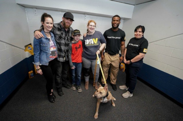 singer brantley gilbert partners with pedigree to give vets companion dogs