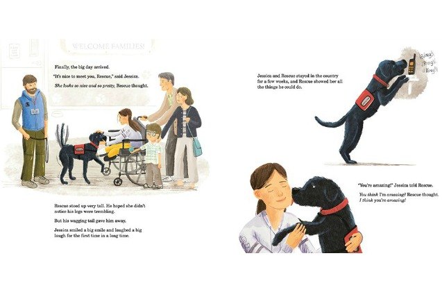 boston marathon bombing service dog is the star of a new book