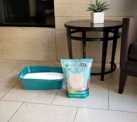 how to solve the 7 most common kitty litter problems