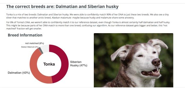 scientists want your help choosing dog breeds by looks alone