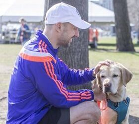 join wag a thon and raise funds for seeing eye dogs by walking your pooch