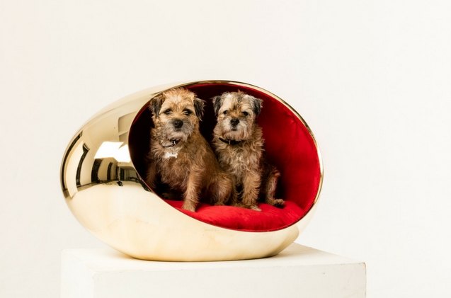 take a look at majestic pooch palaces made for a charity auction