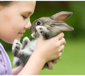Study: Childhood Pets May Affect Decisions To Live Vegetarian Lifestyl