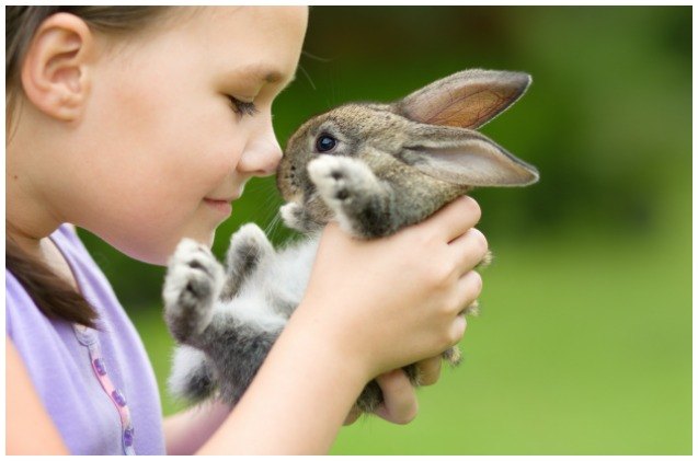study childhood pets may affect decisions to live vegetarian lifestyl
