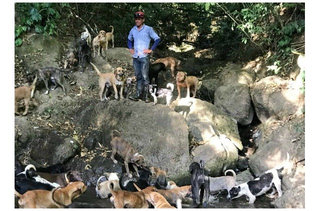 costa rican puppy paradise gives homeless dogs new lives