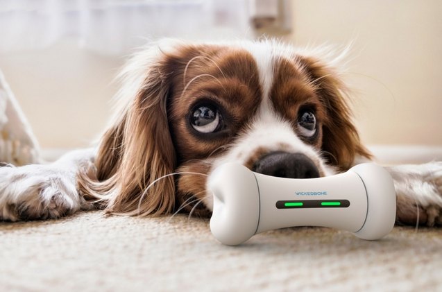 kickstarters wickedbone is a smart interactive dog toy for b