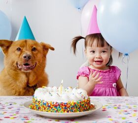 Is One Human Year Equal to 7 Canine Years? Debunking the Dog Age Myth