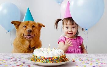 Is One Human Year Equal to 7 Canine Years? Debunking the Dog Age Myth