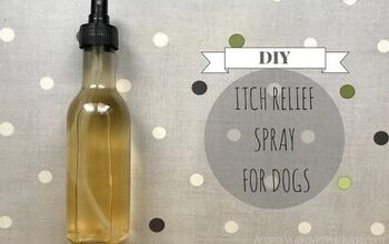 DIY Itch Relief Spray for Dogs