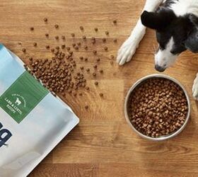 Amazon Introduces Wag, a New Dog Food Available to Prime Subscribers