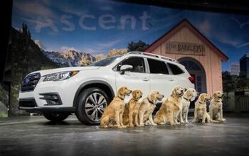 Subaru Shares Safety Tips For Dogs Traveling in SUVs