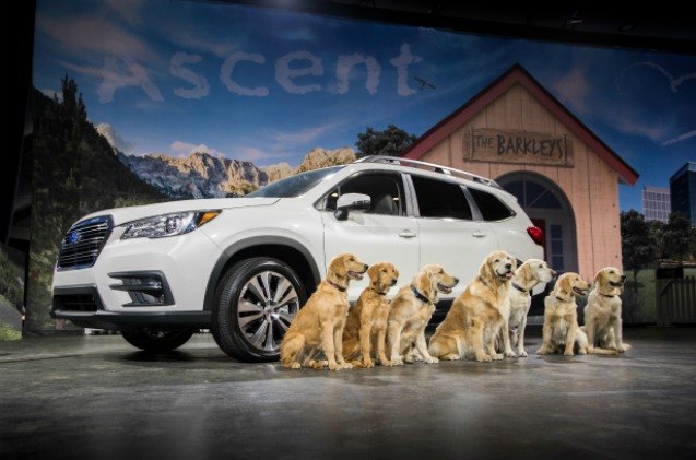 subaru shares safety tips for dogs traveling in suvs