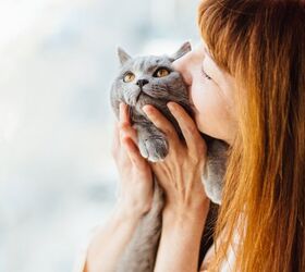 Smooches and Hugs for Kitty: A Good Idea?