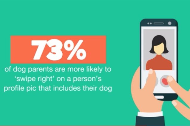 study dog parents would overwhelmingly choose their pups over partner