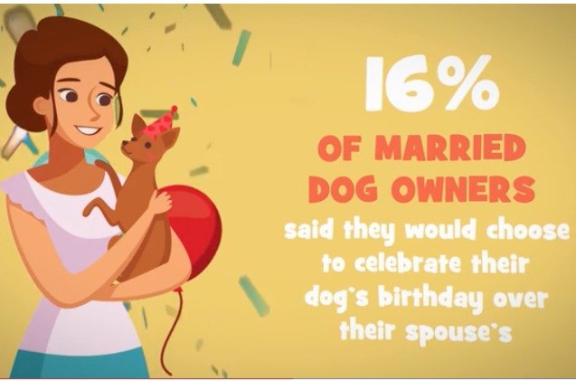 study dog parents would overwhelmingly choose their pups over partner