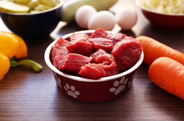 petcos in store kitchens reveal what goes in your pets meal