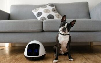 Meet MIA, Kickstarter’s Interactive Toy Robot for Pets