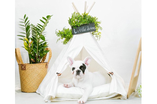 little dove pet teepee bed