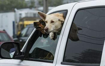 Will Michigan Pet Owners Face Jail for Leaving Pets in Hot Car?