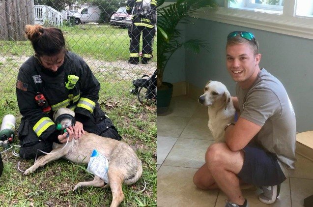 dog rescued from burning house gets new firefighter daddy