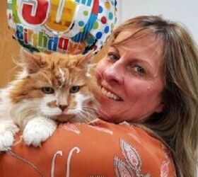Oldest Cat In The United Kingdom Hits The Big Three-Oh!