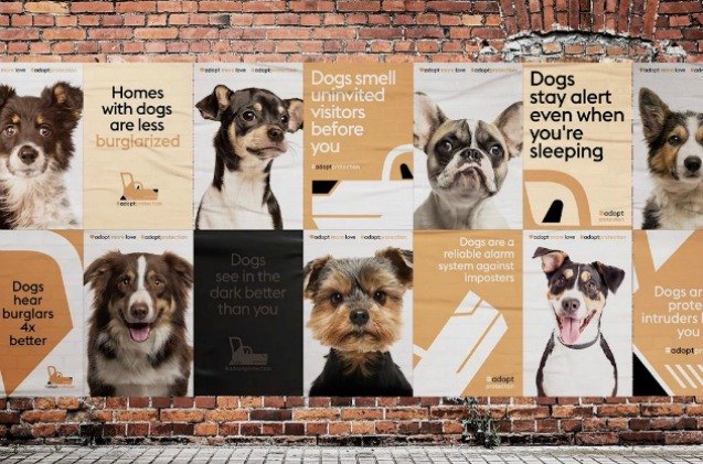 adopt protection wants you to swap your gun for a shelter dog