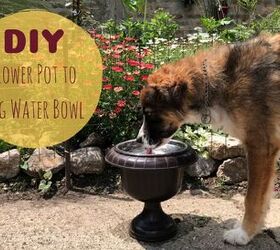 DIY Flower Pot to Dog Water Bowl