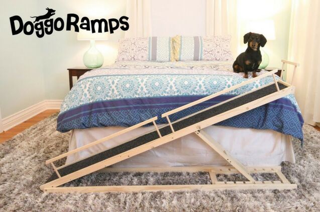 doggoramps keeps your pet safe from back injuries