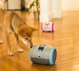 laka is a robot like companion for lonely pets