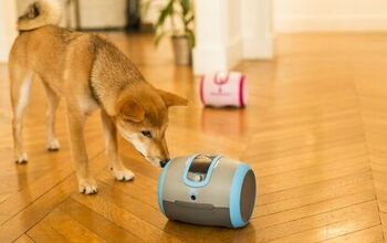 Laïka Is a Robot-Like Companion for Lonely Pets