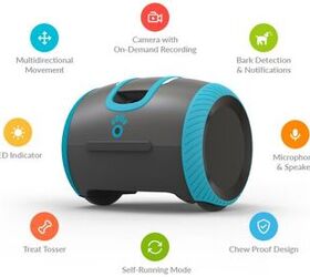 laka is a robot like companion for lonely pets