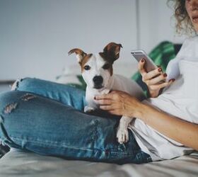 Petrics Launches a Free Health Tracking App for Pets