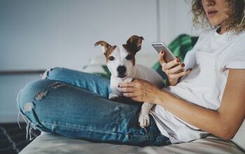 Petrics Launches a Free Health Tracking App for Pets