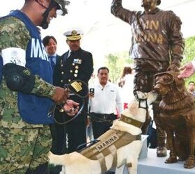 Earthquake Rescue Dog Gets Statue In Her Honor