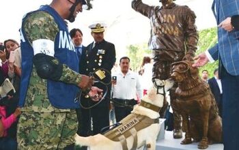 Earthquake Rescue Dog Gets Statue In Her Honor