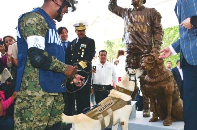 earthquake rescue dog gets statue in her honor