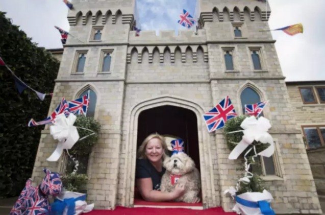 british lotto winner donating pup palace to battersea