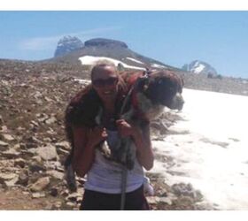 Brave Hiker Carries Injured Dog Down 6 Miles Of Treacherous Mountain
