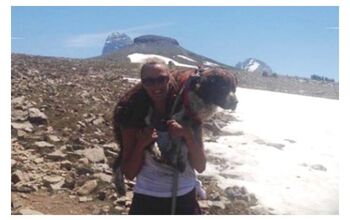 Brave Hiker Carries Injured Dog Down 6 Miles Of Treacherous Mountain