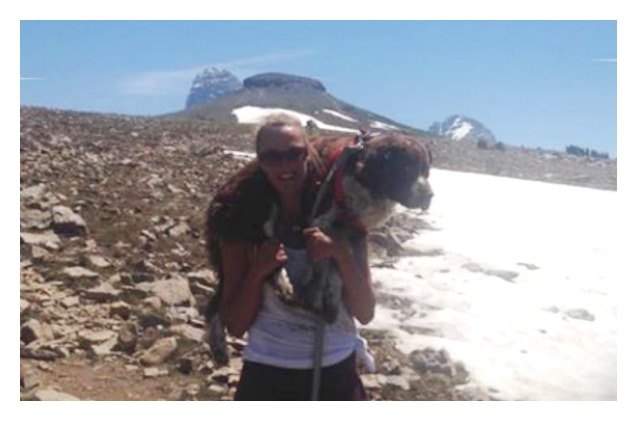 brave hiker carries injured dog down 6 miles of treacherous mountain