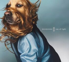 french photographer takes hilarious photos of his dog dressed as madon