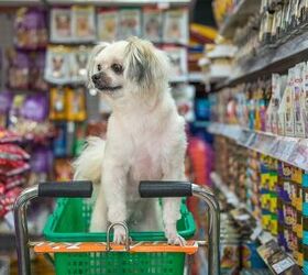 4 Sly Ways Pet Food Labels Are Misleading You
