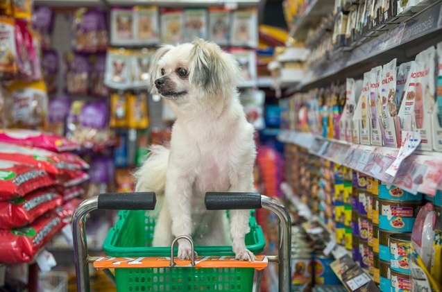 4 sly ways pet food labels are misleading you
