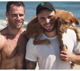 Gus Kenworthy Rescues Another Puppy From Korea